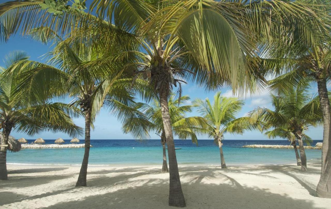 Blue Bay Resort Luxury Apartment Palm View Esterno foto